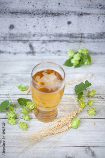 Obraz Glass of beer with hops and barley