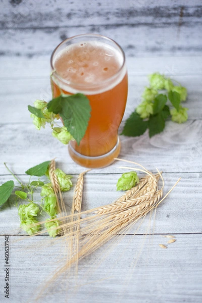 Obraz Glass of beer with hops and barley