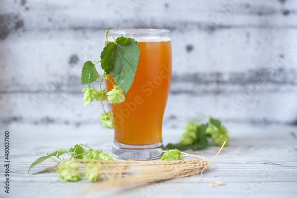 Obraz Glass of beer with hops and barley