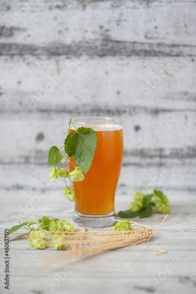 Obraz Glass of beer with hops and barley