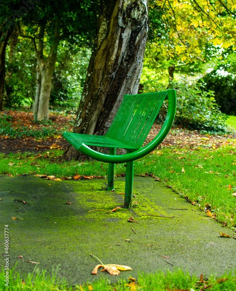 Obraz park bench, resting place