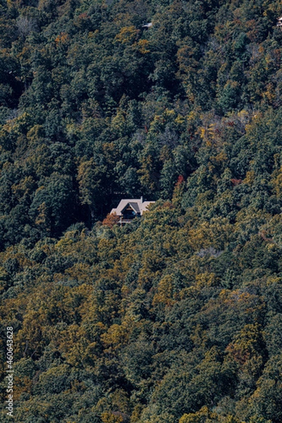 Obraz Cabin in the woods