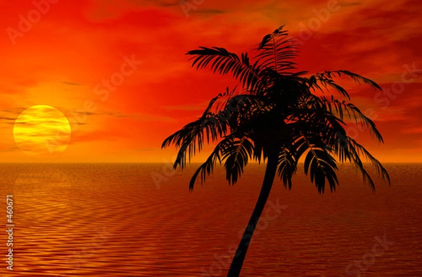 Fototapeta palm tree and sunset