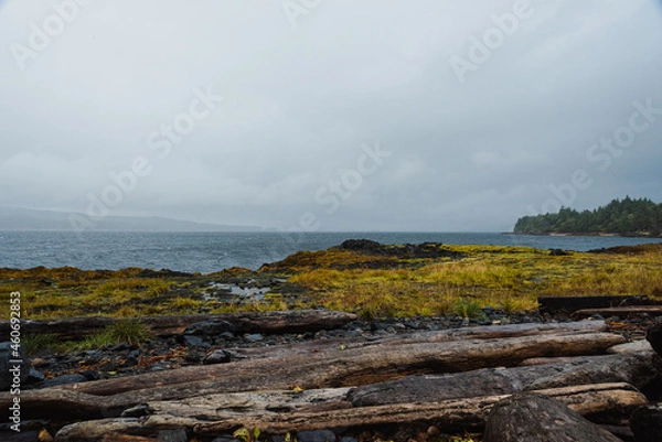 Obraz landscape with clouds