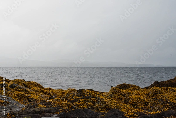 Obraz storm over the sea