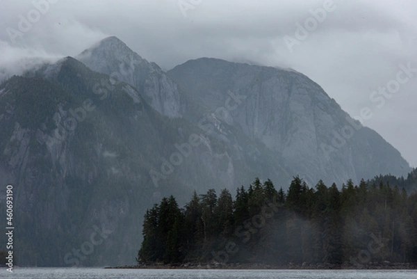 Obraz mist over the mountains