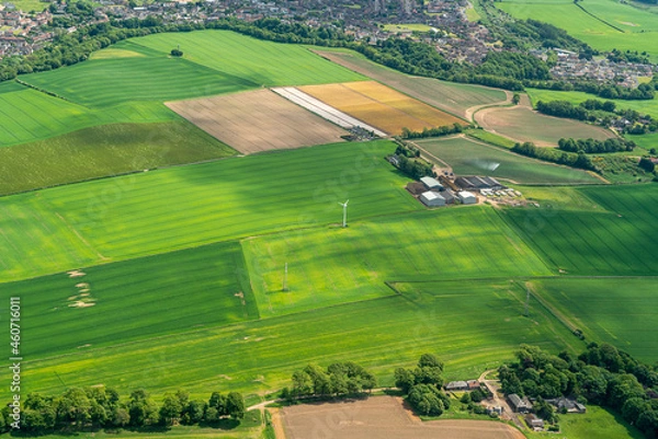 Obraz landscape with fields