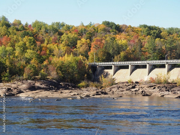 Obraz bridge over the river