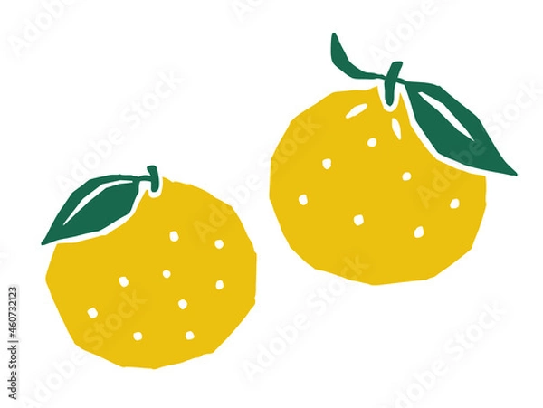 Obraz 柚　レトロなベクターイラスト