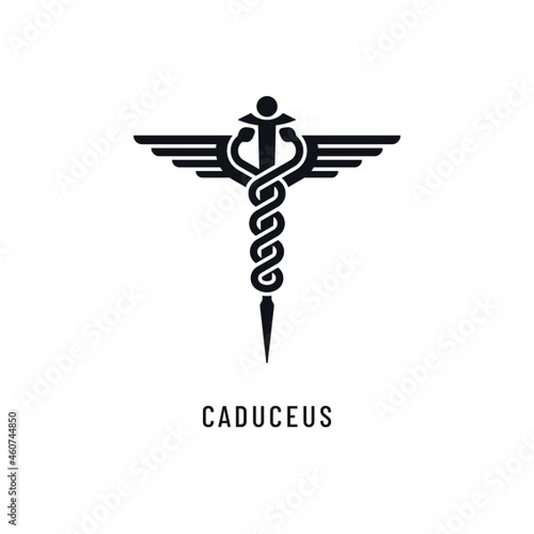 Obraz Caduceus Medical Vector Icon