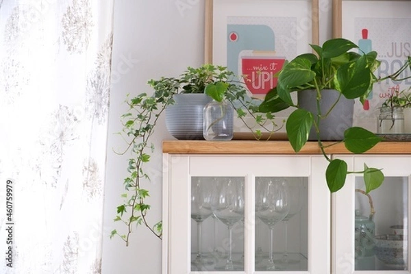 Obraz Botany composition, home interior.