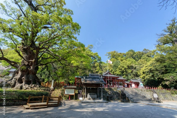 Obraz 蒲生八幡神社