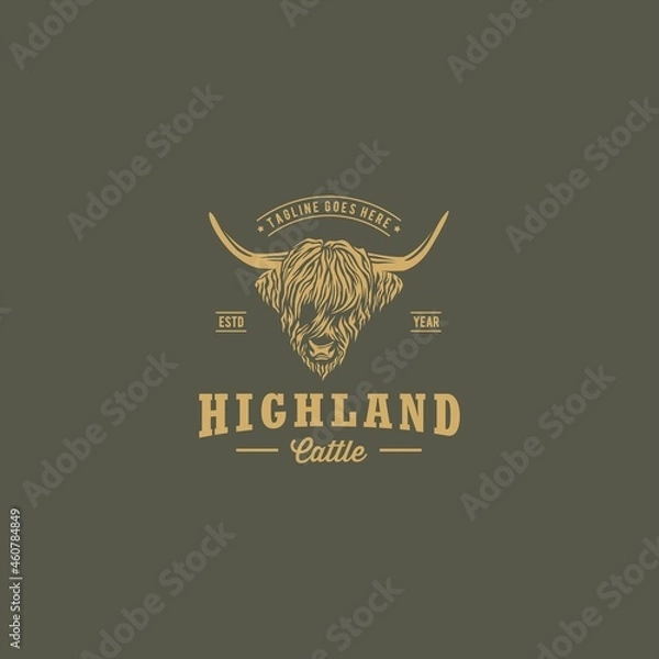 Obraz Highland Cattle Cow Head Logo Design