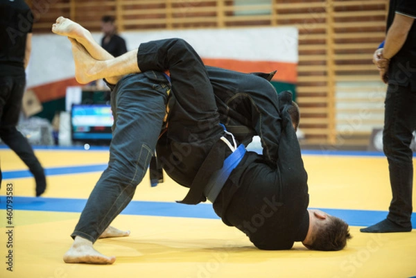 Obraz Brazilian jiu jitsu fight