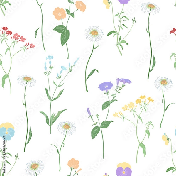 Fototapeta White background with wildflowers. Seamless vector pattern