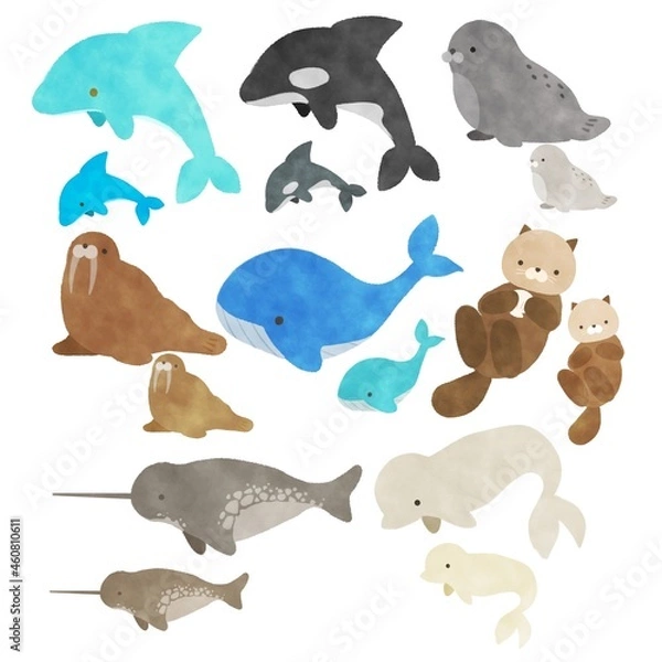 Fototapeta 海の哺乳類 イラストセット