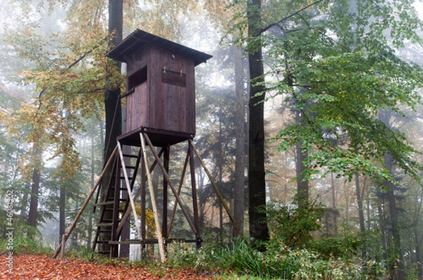 Obraz Hochsitz im Herbstwald