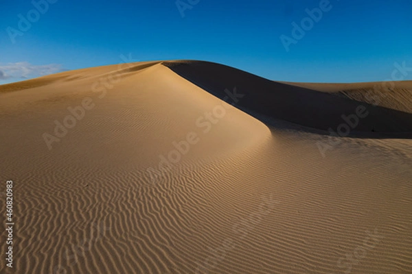 Obraz Beautiful sand patterns with  low sun in the natural park in Corralejo on the enchanting island of Fuerteventura in the Canary Islands Spain