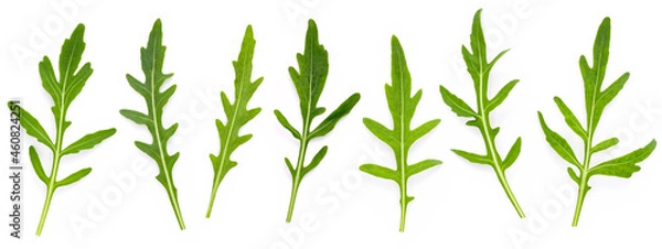 Fototapeta Arugula leaves isolated on white background. Closeup fresh wild rocket leaves on white background top view.