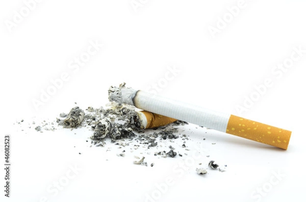 Obraz Burning cigarette with ashes isolated on white background