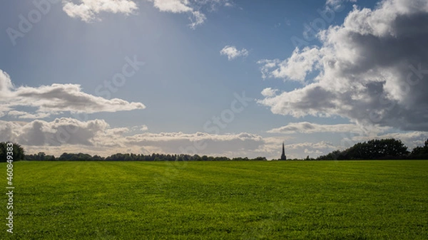 Obraz field and blue sky