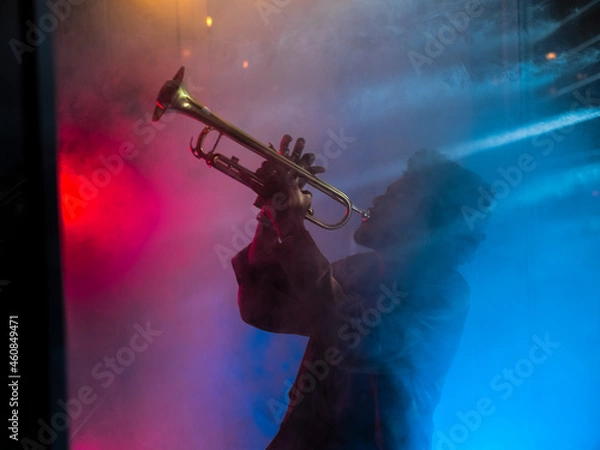 Obraz Young trumpet player