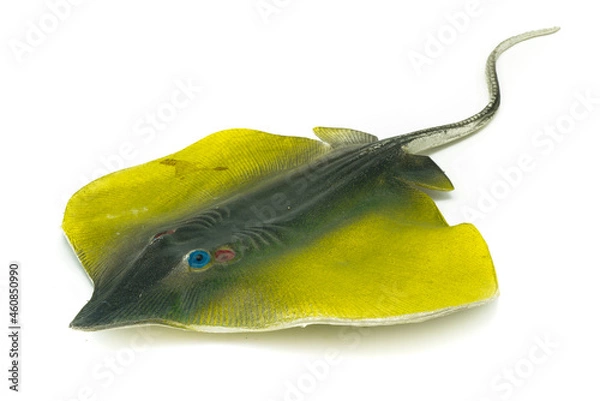 Fototapeta Stingray toy on white