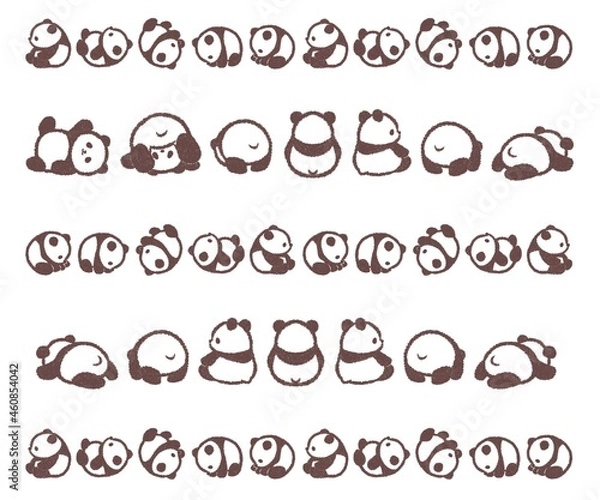 Fototapeta 赤ちゃんパンダのラインセット