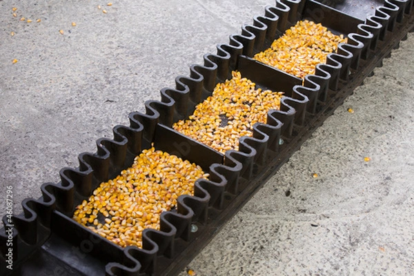 Obraz Corn production