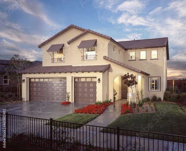 Fototapeta New Home architecture. House with landscaping