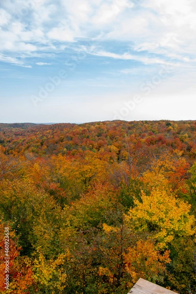 Fototapeta Parc des Montagnes Noires, QC, Canada