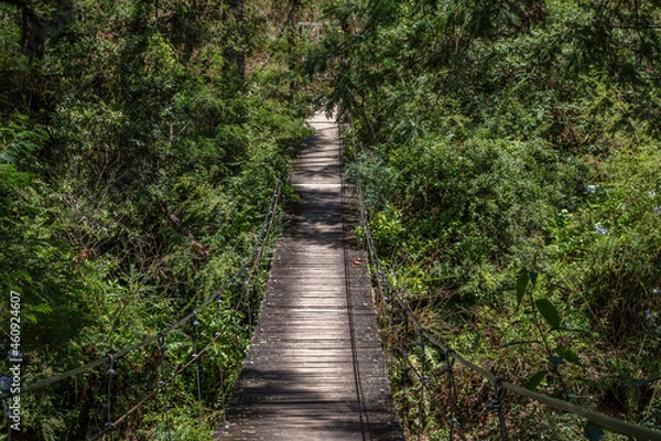 Obraz paths on the bridge