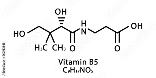 Fototapeta Vitamin B5 Pantothenic molecular structure. Vitamin B5 Pantothenic skeletal chemical formula. Chemical molecular formulas
