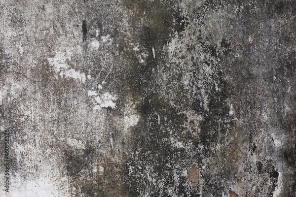 Fototapeta Old wall background