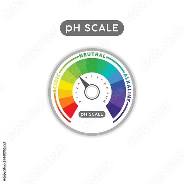 Fototapeta pH Scale Indicator Chart Diagram. pH analysis vector chemical scale value test. Acidic alkaline measure