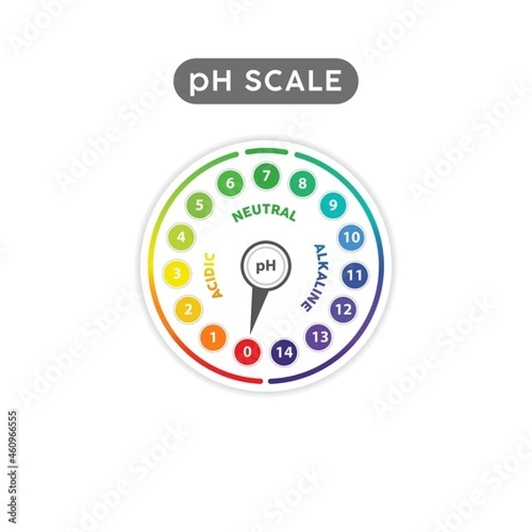 Fototapeta pH Scale Indicator Chart Diagram. pH analysis vector chemical scale value test. Acidic alkaline measure