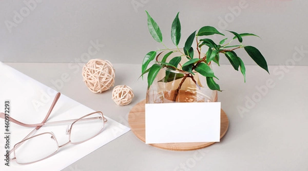 Fototapeta On a gray background, gold-rimmed glasses, a plant in a vase and a blank white card with a place to insert text. Business template. Mockup