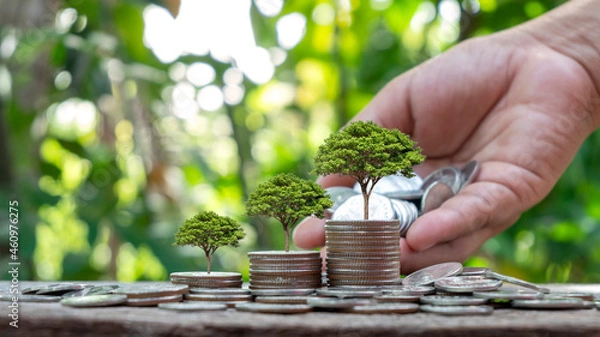 Fototapeta Plant trees on coins or money according to the concept of money growing and environmental investment.
