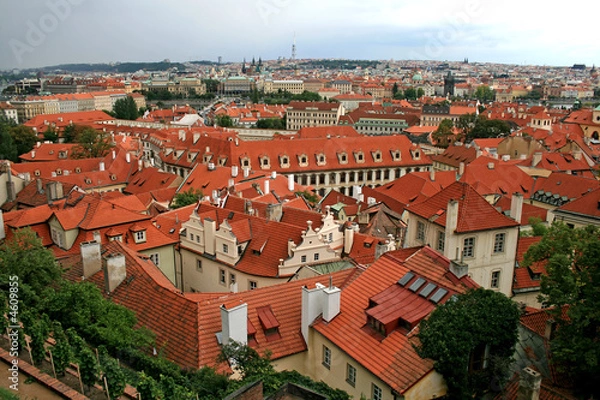 Fototapeta The aerial view of Prague