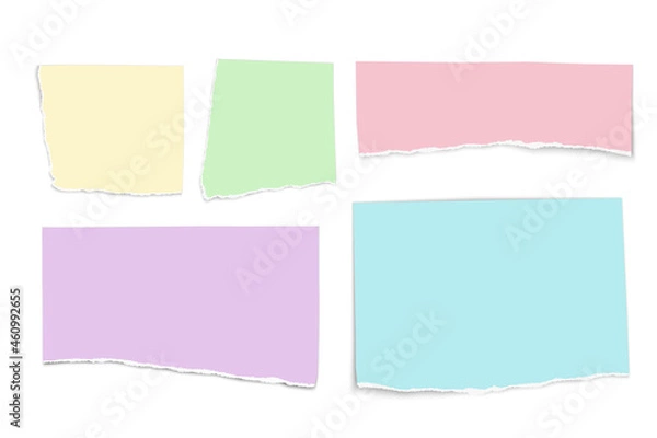 Fototapeta Set of color paper tears isolated on white background