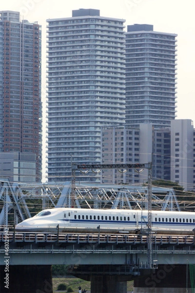 Fototapeta 多摩川を渡る新幹線と武蔵小杉のビル群