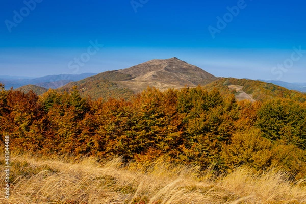 Obraz Bieszczady złota jesień w górach