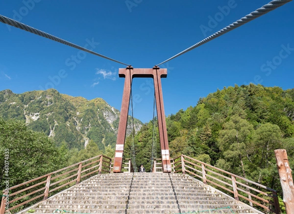 Obraz cable railway bridge