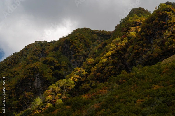 Obraz clouds in the mountains
