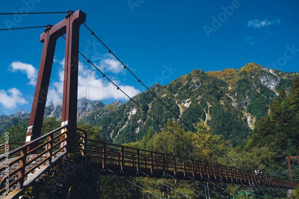 Obraz cable car bridge