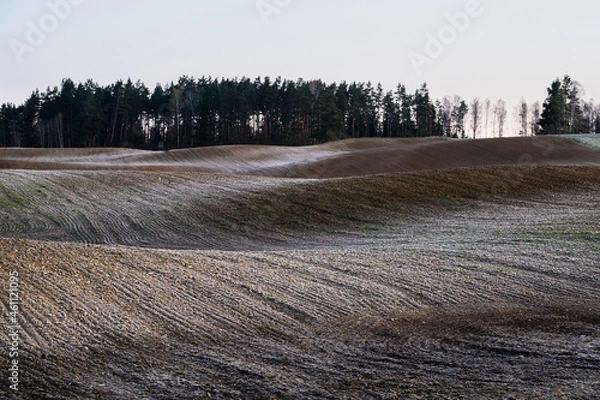 Obraz pole