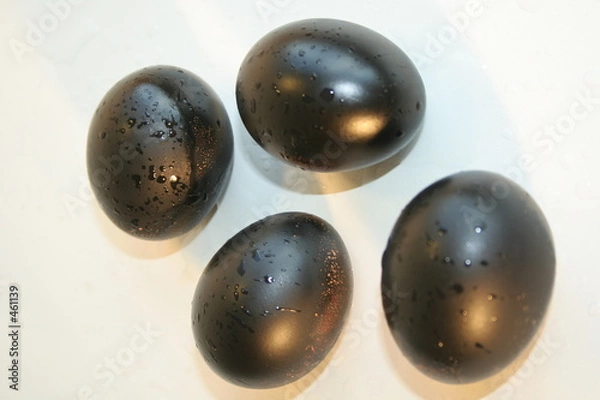Obraz black eggs