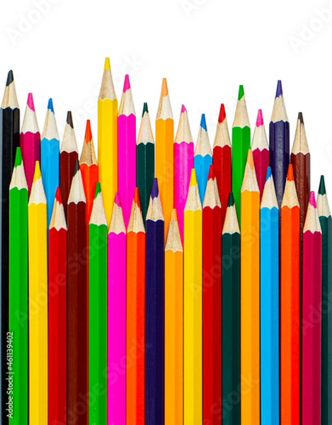 Fototapeta Multi-colored pencils in a row on a white background. Set of colored pencils for drawing