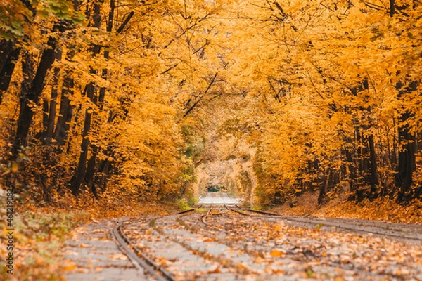 Obraz Tram rail in the autumn park