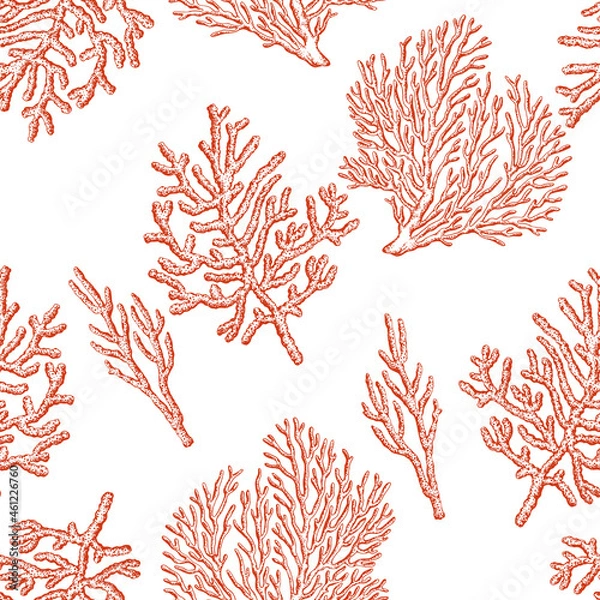 Fototapeta Coral reefs seamless pattern on a white background. Vector background.
